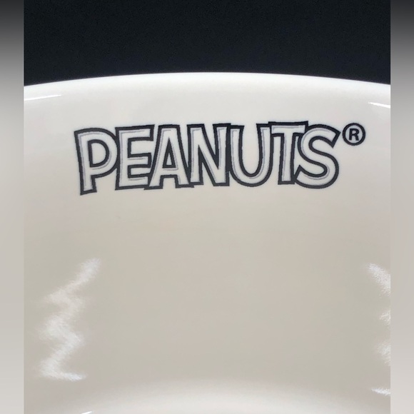 Rae Dunn Peanuts Pet Dog Bowl Halloween Spooktacular Snoopy & Woodstock - Picture 9 of 16